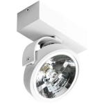 Kinkiet plafon JERRY 1 AZ1364 12V WH AZZARDO