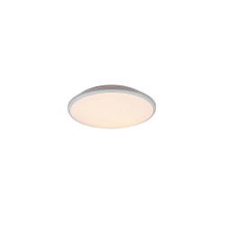 LIMBUS R67021131