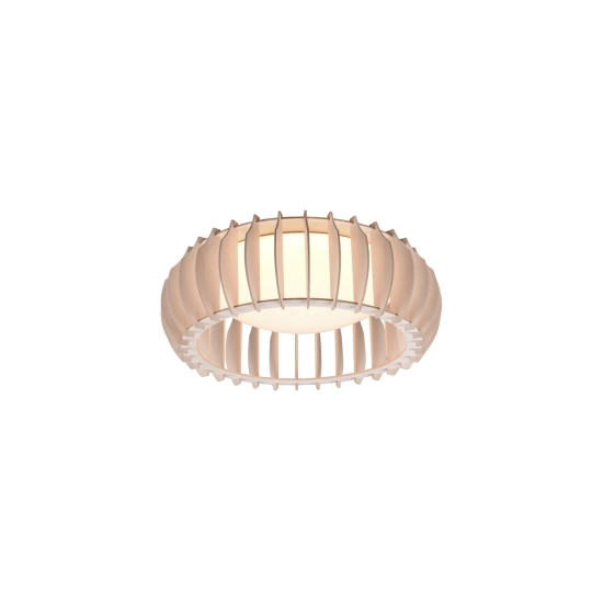 MONTE R62171130