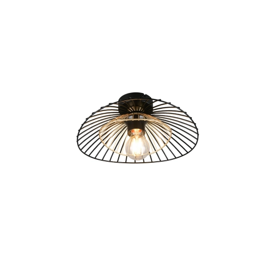 LAURIS R66791032