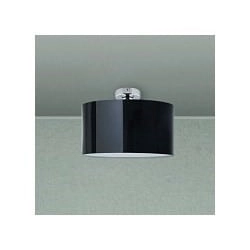 Plafon Rick 4529R+1301 Rabalux