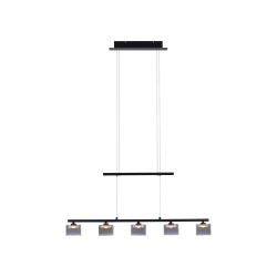 2209-18 HYDRA LAMPA WISZĄCA Paul Neuhaus - zdjęcie produktu