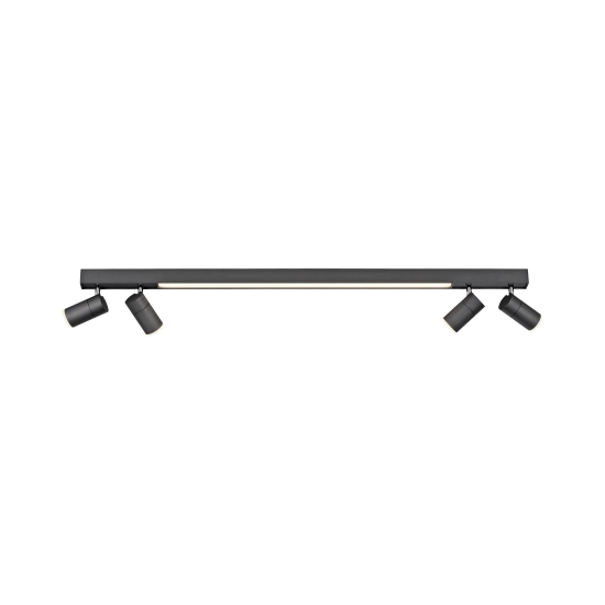 6121-13 PURE-LINES LAMPA SUFITOWA z pilotem ANTRACYT Paul Neuhaus - zdjęcie produktu