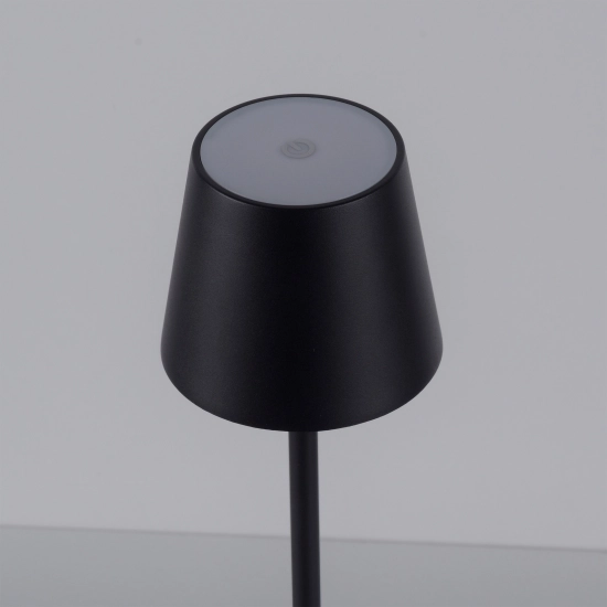 19250-18 LAMPA STOŁOWA EURIA Paul Neuhaus