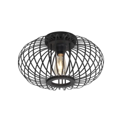 11410-18 RACOON LAMPA SUFITOWA CZARNA Paul Neuhaus - zdjęcie produktu