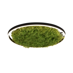 15392-66 LAMPA SUFITOWA GREEN RITUS Paul Neuhaus - zdjęcie produktu