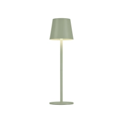 19250-43 LAMPA STOŁOWA EURIA Paul Neuhaus - zdjęcie produktu