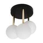 Lampa sufitowa ALI 5644 Zuma Line - zdjęcie produktu