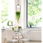 PLANT Lampa wisząca 5003 ZUMA LINE