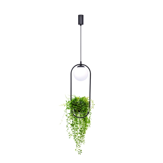 PLANT Lampa wisząca 5003 ZUMA LINE