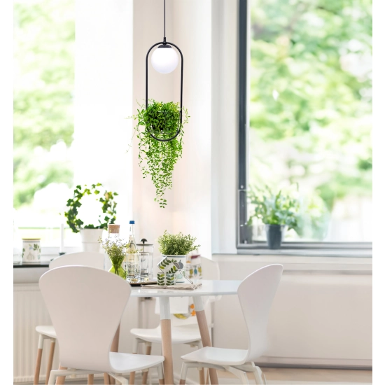 PLANT Lampa wisząca 5003 ZUMA LINE
