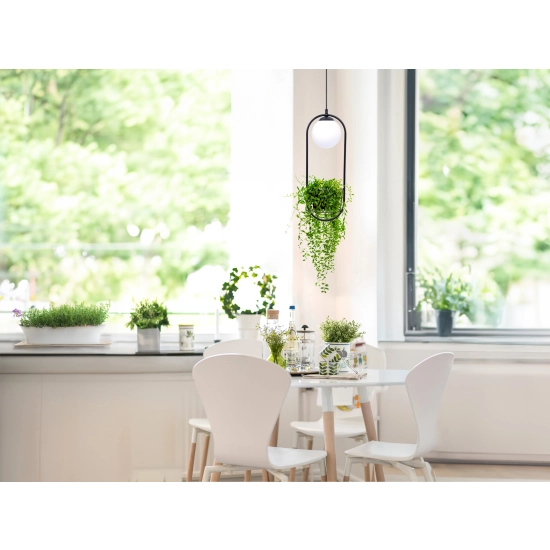 PLANT Lampa wisząca 5003 ZUMA LINE