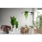 Lampa wisząca 5005 ORBIT 3 ZUMA LINE