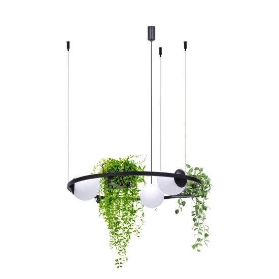 Lampa wisząca 5005 ORBIT 3 ZUMA LINE