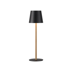 19250-68 EURIA LAMPA STOŁOWA CZARNY/ZŁOTY Paul Neuhaus - zdjęcie produktu