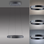 2560-15 PURE E-CLIPSE LAMPA WISZĄCA z pilotem SZARY Paul Neuhaus