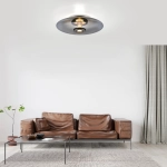 6083-15 PURE VITRUM LAMPA SUFITOWA SZARY Paul Neuhaus - zdjęcie produktu