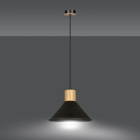 Lampa wisząca ROWEN 1 BLACK 1044/1 EMIBIG Lighting