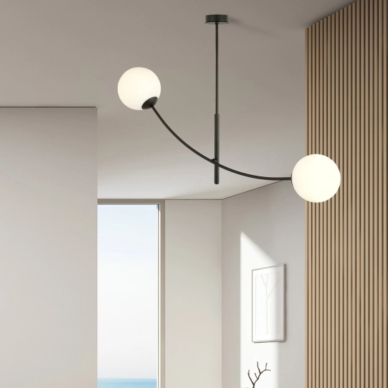 Lampa sufitowa HUNTER 2 BLACK/OPAL 1102/2 EMIBIG Lighting