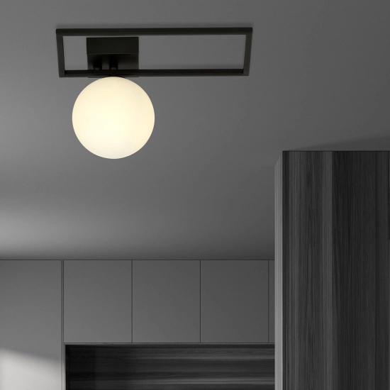 Lampa sufitowa IMAGO 1D BLACK/OPAL 1130/1D EMIBIG Lighting