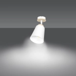 Lampa sufitowa ATLAS 1 WHITE 724/1 EMIBIG Lighting