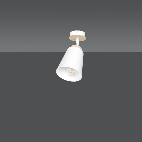 Lampa sufitowa ATLAS 1 WHITE 724/1 EMIBIG Lighting