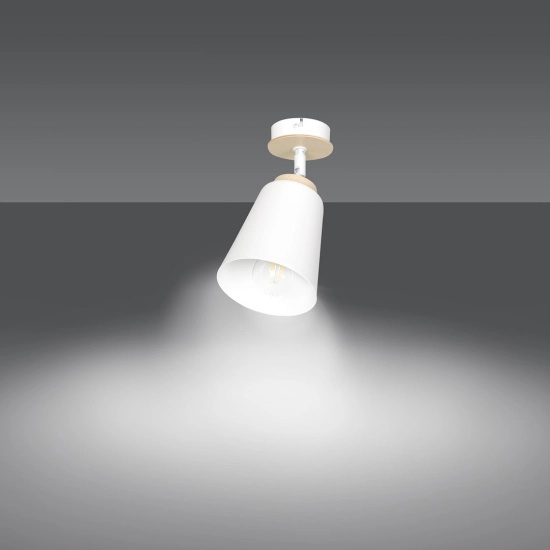 Lampa sufitowa ATLAS 1 WHITE 724/1 EMIBIG Lighting