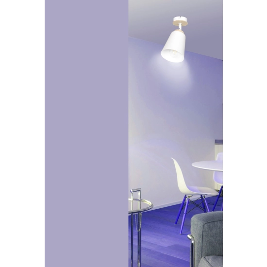 Lampa sufitowa ATLAS 1 WHITE 724/1 EMIBIG Lighting