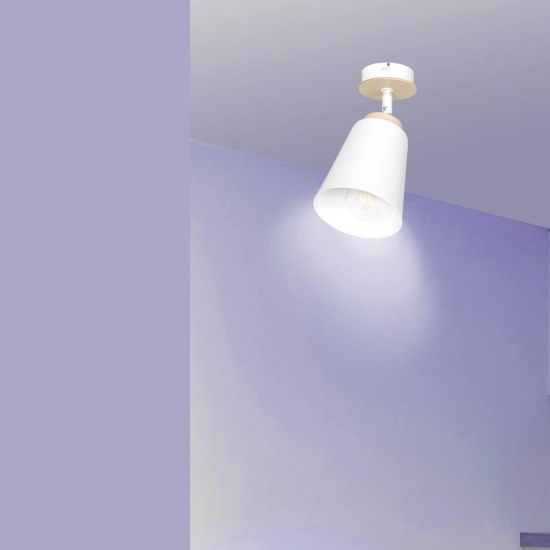 Lampa sufitowa ATLAS 1 WHITE 724/1 EMIBIG Lighting