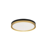 Plafon BANE LE43228 Luces Exclusivas - zdjęcie produktu