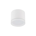 Lampa punktowa SILBA WHITE 10476 Nowodvorski - zdjęcie 4