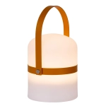 Lampa stojąca 2800K IP44 LITTLE JOE 06802/01/43 Lucide - zdjęcie produktu
