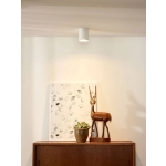 BODI spot sufitowy Ø 8 cm GU10 biały 09100/01/31 Lucide - zdjęcie dodatkowe 1