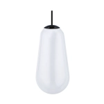 Klosz CAMELEON PEAR L 10328 Nowodvorski - zdjęcie produktu