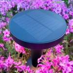 Lampa solarna CARLI DT33611 ZUMA LINE