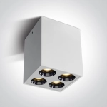 The Dark Light Ceiling Lights 12110HB/W/W ONE LIGHT