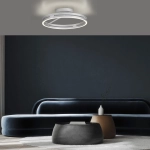 Lampa sufitowa Pure Loop Aluminium 6552-95 Paul Neuhaus - zdjęcie dodatkowe 1