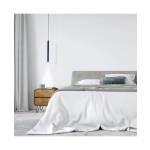 17009 HOTEL PENDANT LED BLACK Zambelis Lights