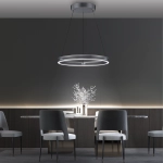 Lampa wisząca Pure E-loop Szary 2551-15 Paul Neuhaus - zdjęcie produktu
