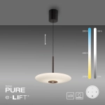 Lampa wisząca Pure E-vitrum Ciemnobrązowy 2084-34 Paul Neuhaus - zdjęcie dodatkowe 3