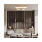 22019 CEILING LIGHT 80W 3000K ALUMINUM COLD MATT SHADE Zambelis Lights