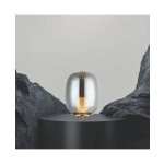 22066 TABLE LAMP 1XG9 SMOKED GLASS - GOLD MAT METAL FOR INTERIOR SPACES Zambelis Lights