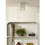TUBE spot sufitowy GU10 Satin Chrome 22953/01/12 Lucide - zdjęcie dodatkowe 1
