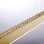 Lampa wisząca Pure-moto Matowy Mosiądz 2525-60 Paul Neuhaus - zdjęcie dodatkowe 7