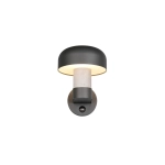 FRASER – 262569178 excl. 1x E27 · max. 10W TRIO