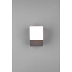 AVON – 270660142 incl. 1x SMD LED, 7W · 1x 800lm, 3000K TRIO
