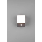 AVON – 270669142 incl. 1x SMD LED, 7W · 1x 800lm, 3000K TRIO