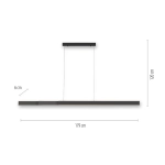 Lampa wisząca Pure-lume Antracyt 2738-13 Paul Neuhaus - zdjęcie dodatkowe 1