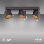 Lampa sufitowa Pure Cup Czarna 6227-18 Paul Neuhaus - zdjęcie produktu