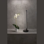 Lampa biurkowa Mantra Torch 6738MA - zdjęcie dodatkowe 1